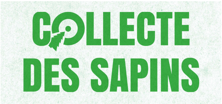 19 points de collecte pour le recyclage des sapins à Sète