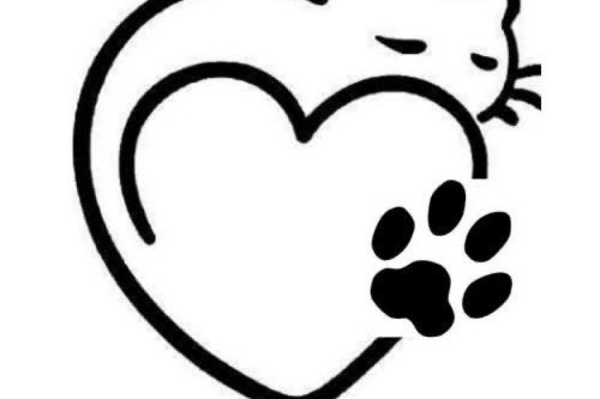 MONTAGNAC Vide Grenier Solidaire