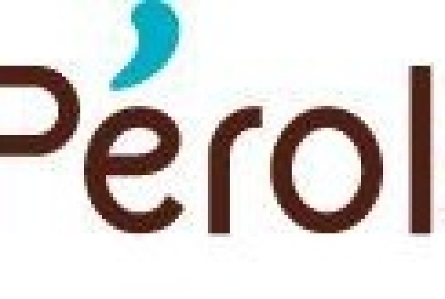 PEROLS Repair Café